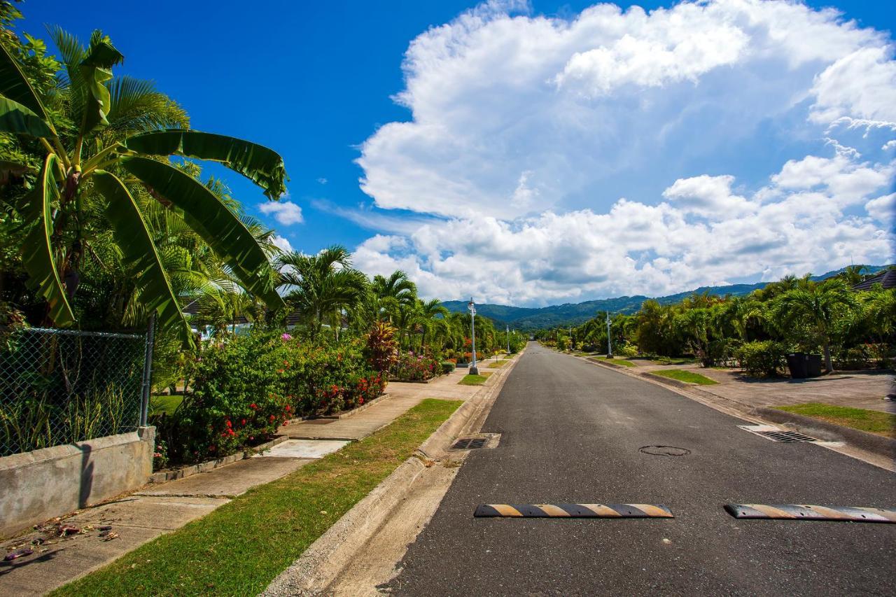 Nature'S Choice Home Richmond Palms, Jamaica Eksteriør bilde