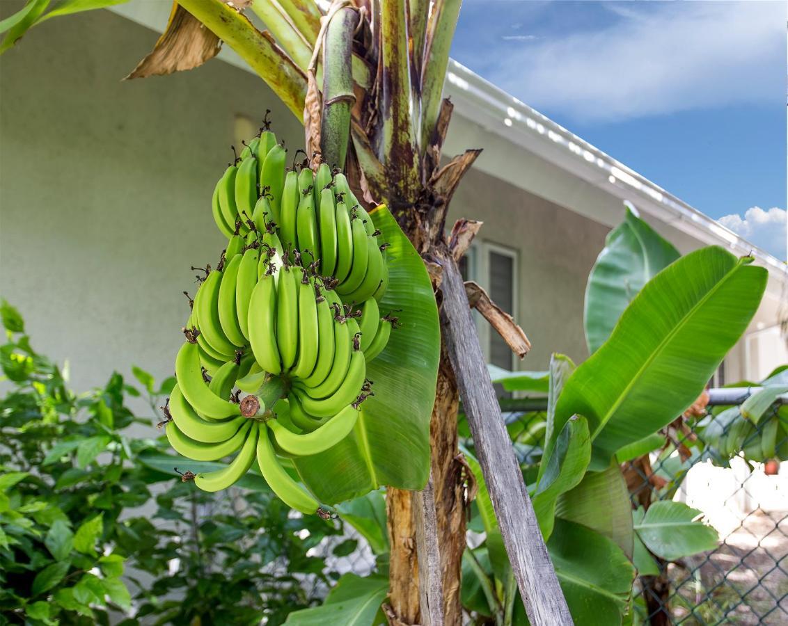 Nature'S Choice Home Richmond Palms, Jamaica Eksteriør bilde